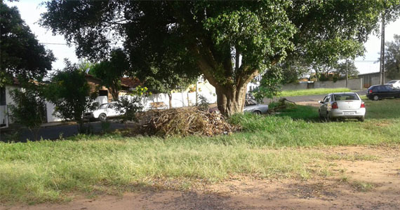 Vereadora Cristina Reale solicita limpeza de terrenos e reformas de telhados.