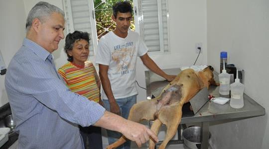 Salata acompanha projeto de castração de animais da ONG Mi-Au com a prefeitura