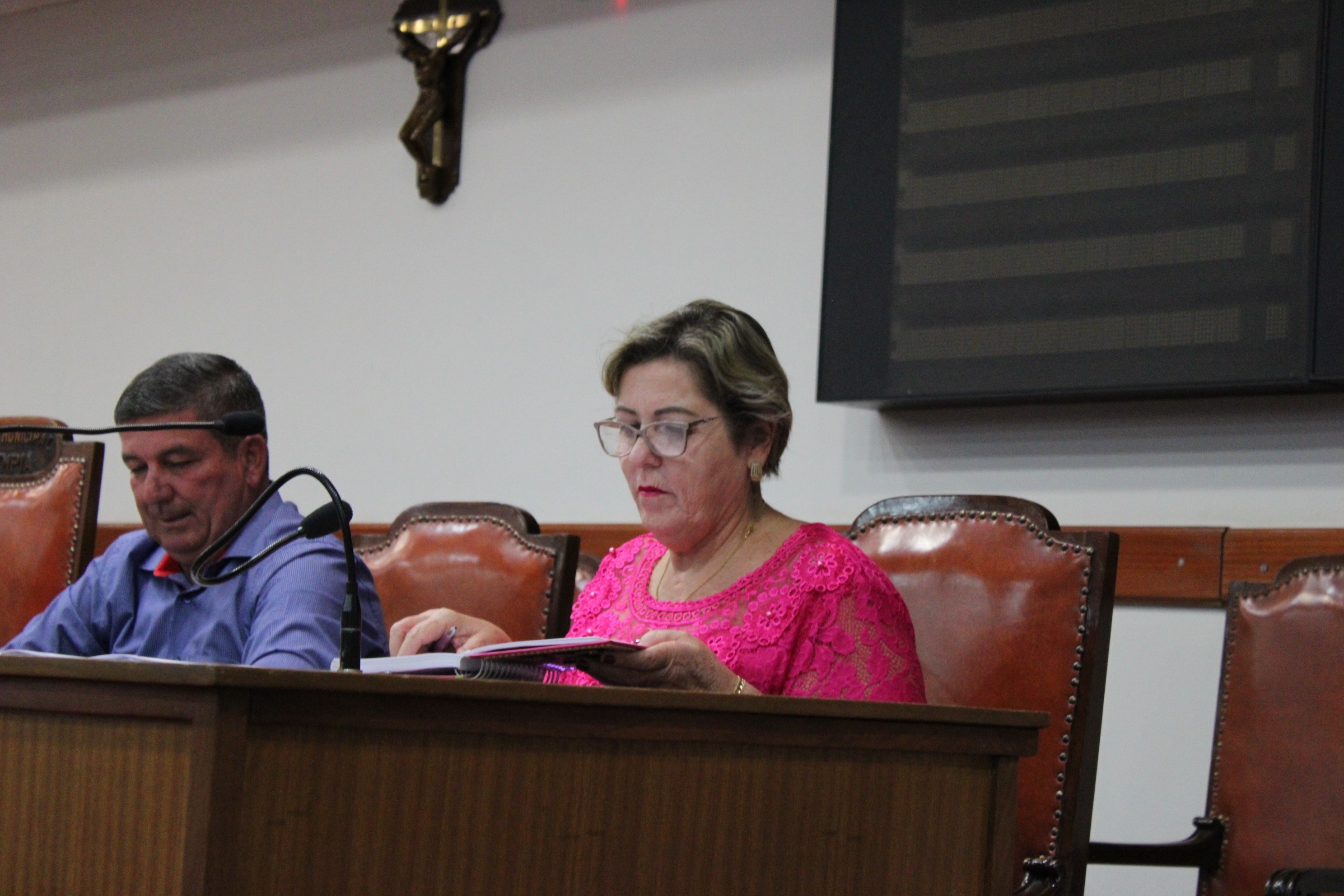 Câmara elege Cristina Reale como vice-presidenta e aprova 4 projetos de lei na 103ª sessão ordinária