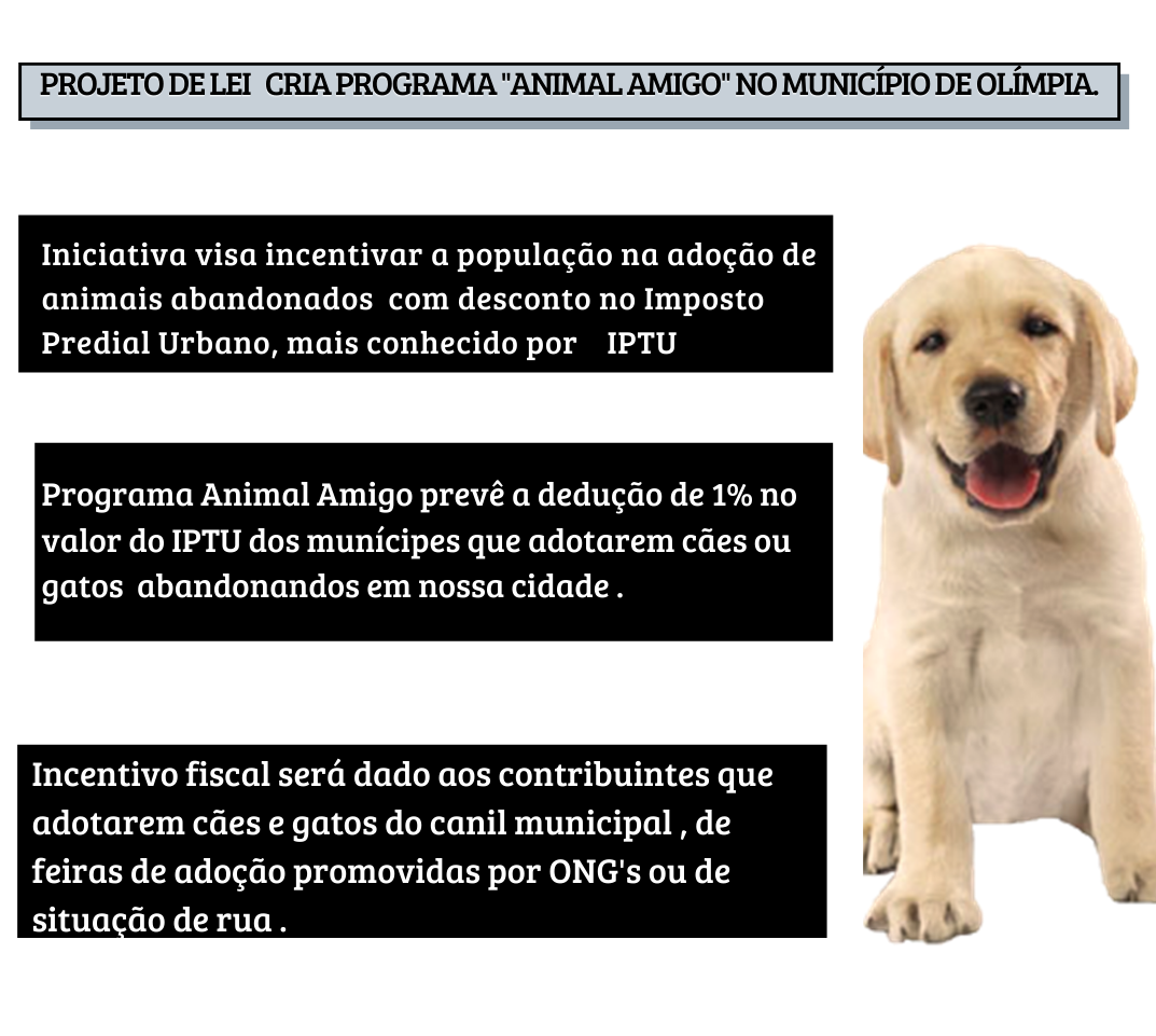 Lei complementar promove incentivo à adoção de animais no município