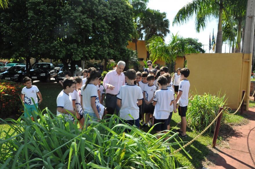 Salata pede campanha de incentivo ao uso de Citronela e Crotalária contra a Dengue