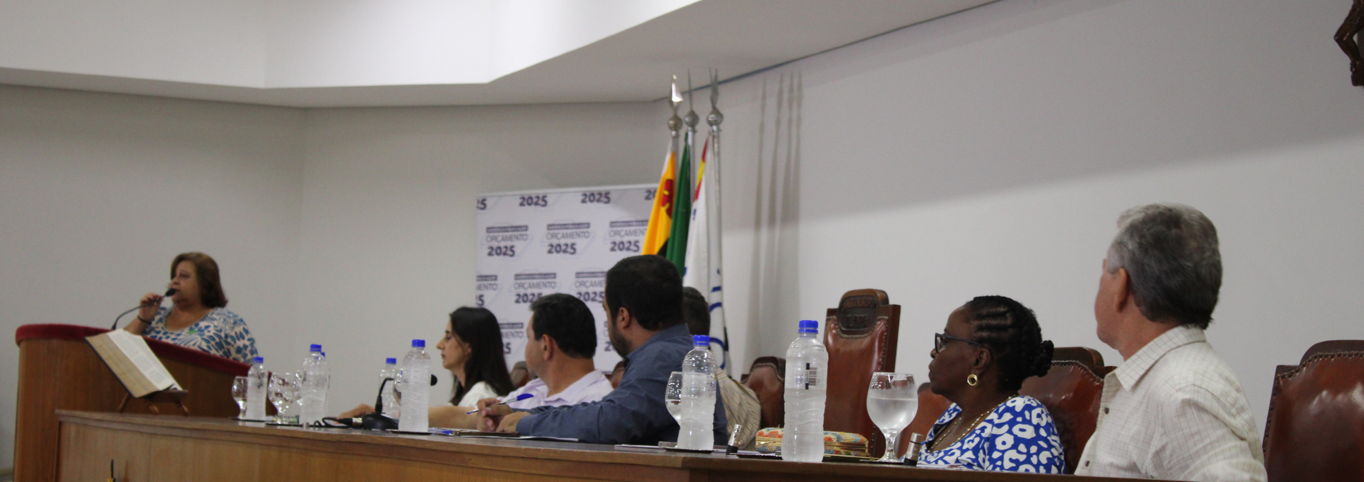 Com grande público , Câmara sedia audiência pública sobre orçamento estadual de 2025