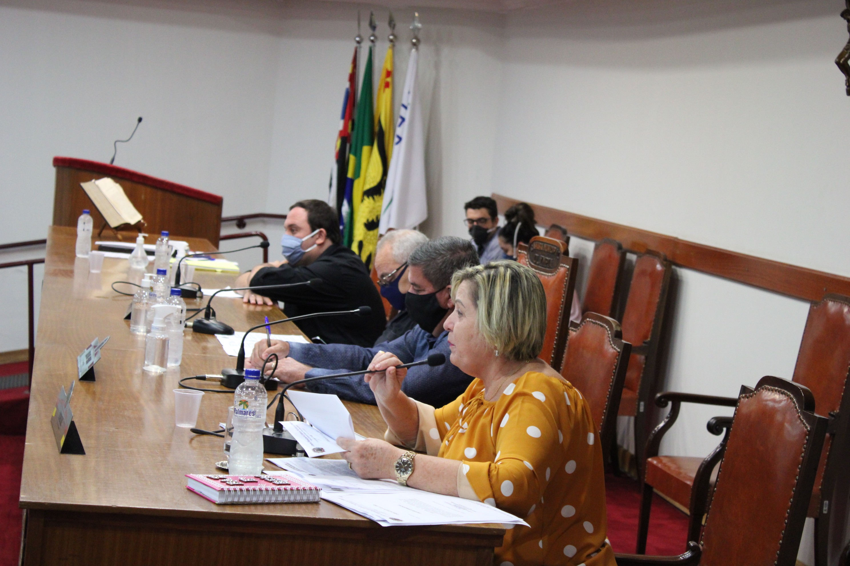 Câmara aprova 6 projetos de lei na 110ª sessão ordinária