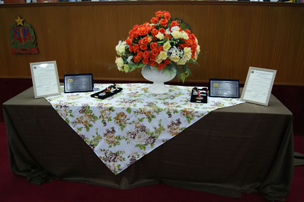 Solene de Mérito Esportivo condecora Fausto Giannecchini e Mauro Lúcio Pimenta