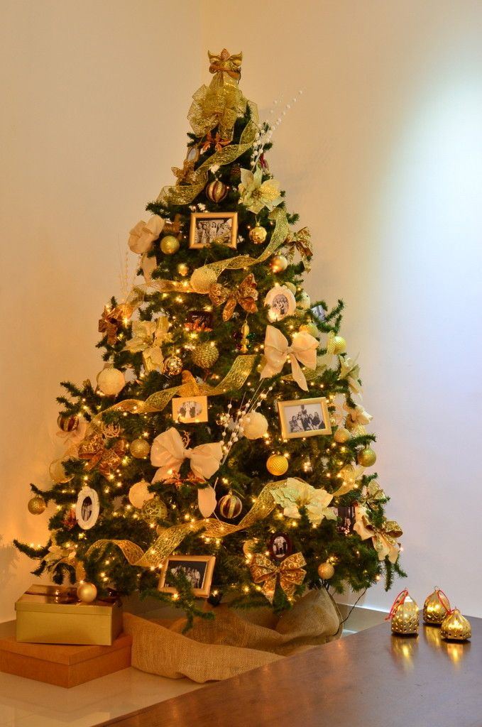 FELIZ NATAL E PRÓSPERO ANO NOVO A TODOS OS OLIMPIENSES!